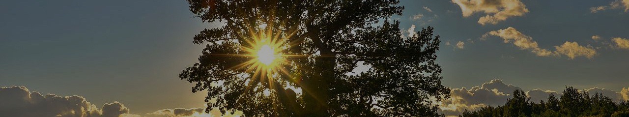 GYSS Cover pic - other header.jpg